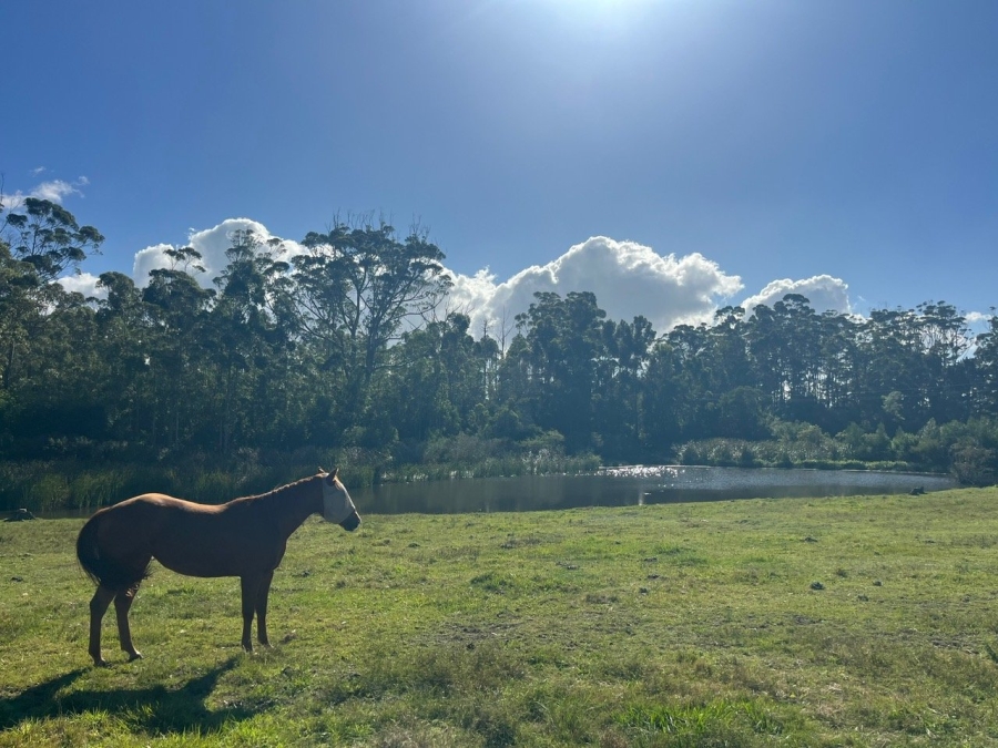 Commercial Property for Sale in Plettenberg Bay Rural Western Cape